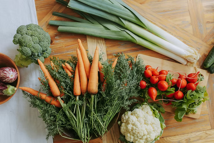 What Is the Healthiest Dog Food? A Practical Guide for Dog Owners