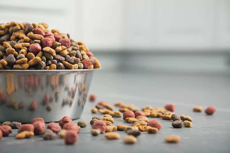 A large bowl of dog food that is overflowing onto the floor