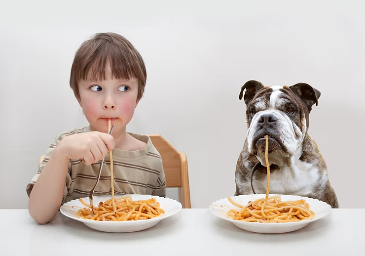 Cold Pressed vs Raw Dog Food: Which Is Better for Your Dog?