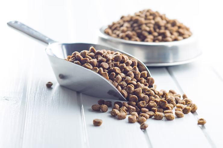 A scoop of dog food next to a dog bowl full of dog food 