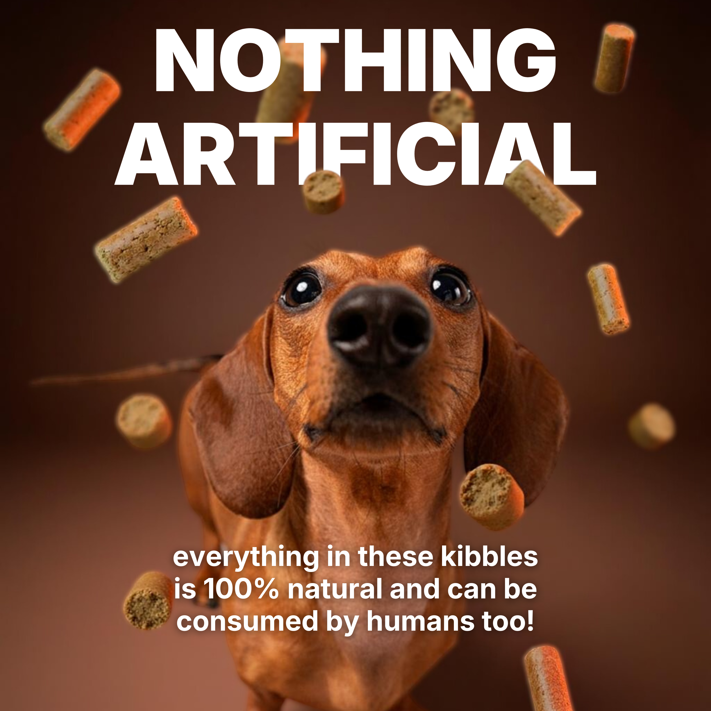 Chicken & Duck Cold Pressed Dog Food (Inc. Small Bites)