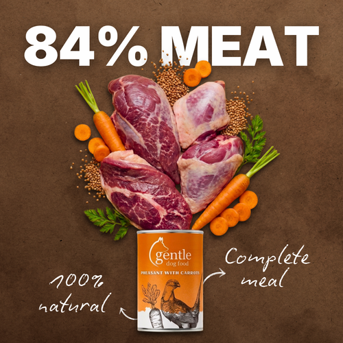 Coming Soon! - Pheasant & Carrots Tinned Dog Food